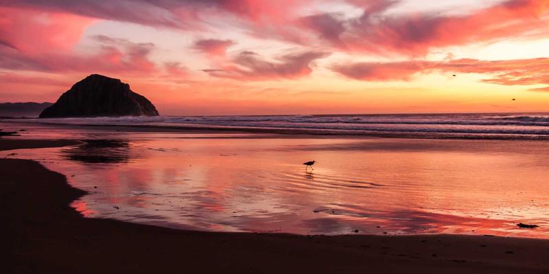 瑞能LED20：重塑商业空间视觉与照明的未来