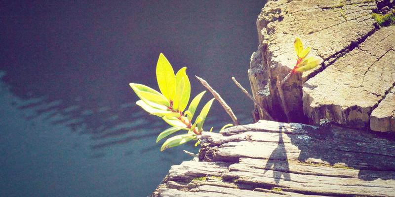 瑞能LED56：重塑商业显示屏行业的高效解决方案