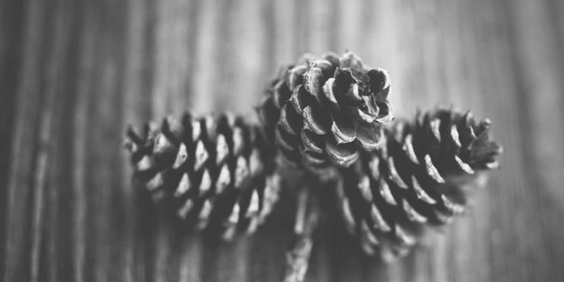 瑞能LED69：融合复古美学与现代科技的创新照明解决方案