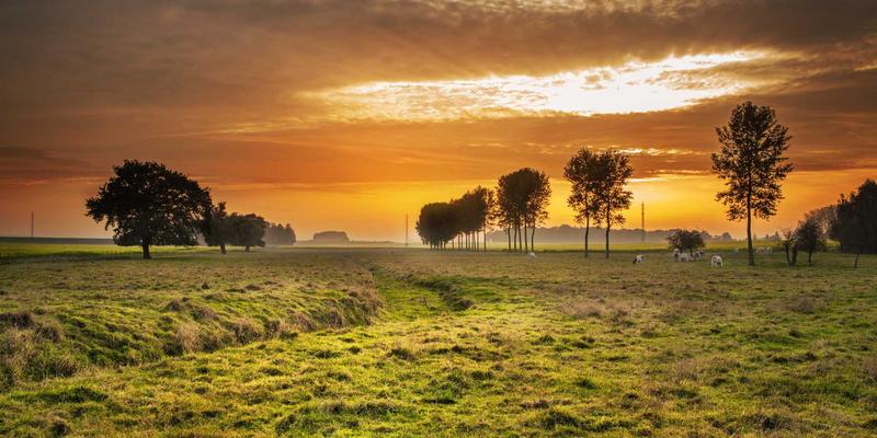 瑞能LED82：商业显示屏与LED照明工程的理想选择