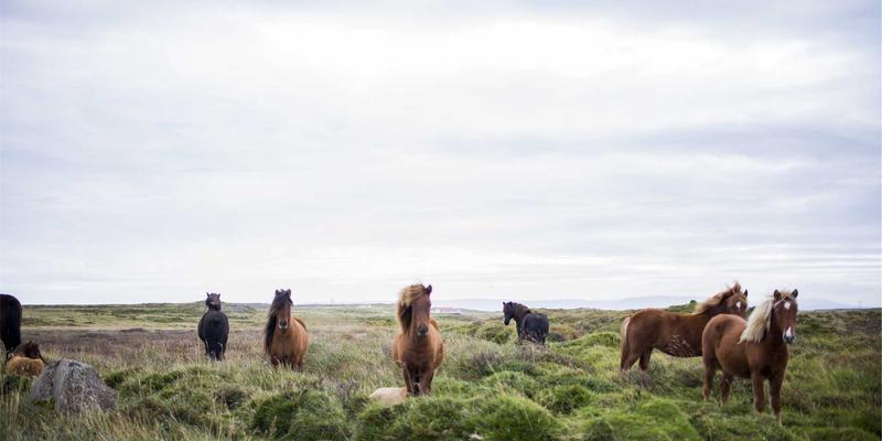 瑞能LED手术室无影灯：揭秘高显色、无频闪的医疗级照明解决方案