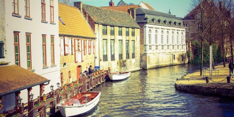 瑞能LED植物生长灯：光谱调控如何提升温室作物产量与品质，赋能现代商业与照明工程