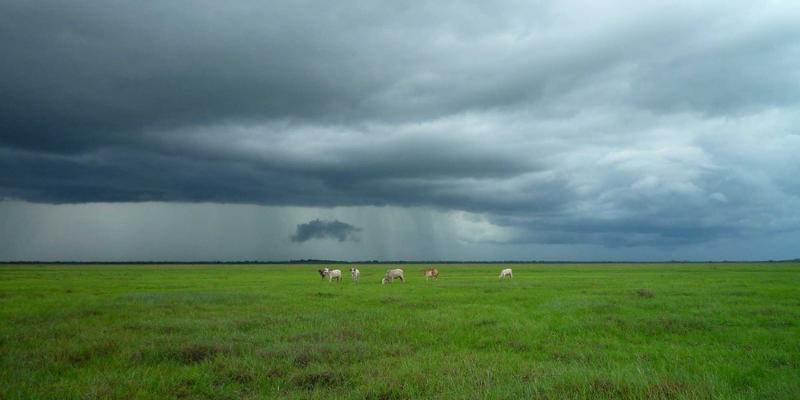 瑞能LED洗墙灯：以现代照明科技重塑历史建筑的夜间艺术灵魂
