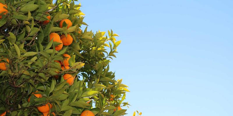 瑞能LED防爆灯：守护石油化工车间安全的照明卫士与认证标准详解