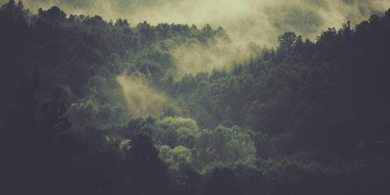 解析瑞能LED面板灯：如何通过创新光学设计打造无眩光办公室照明解决方案